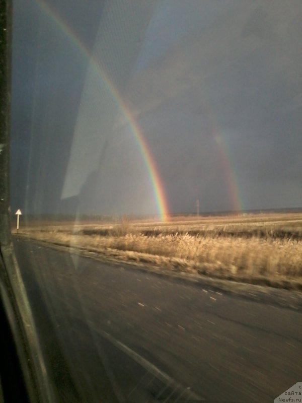 Фотография № 197238