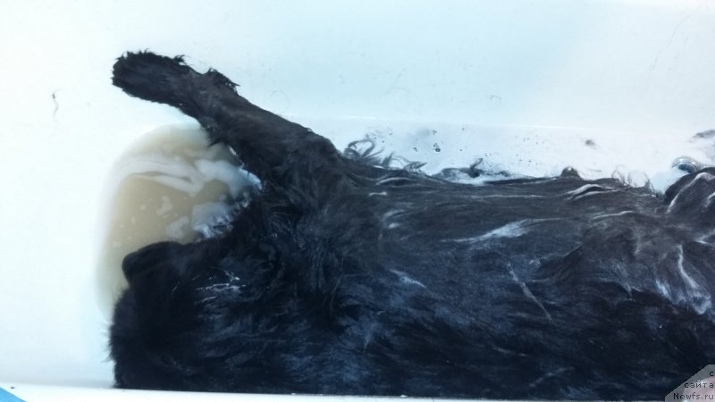 Фотография № 197245