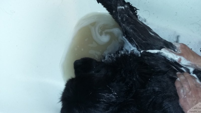 Фотография № 197246