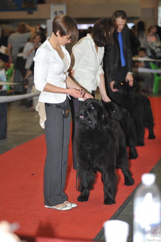 Фотография № 197253