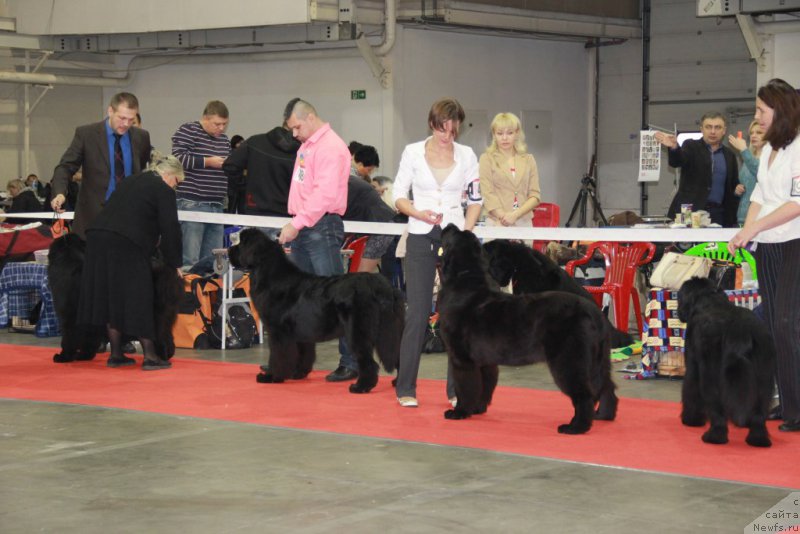 Фотография № 197255