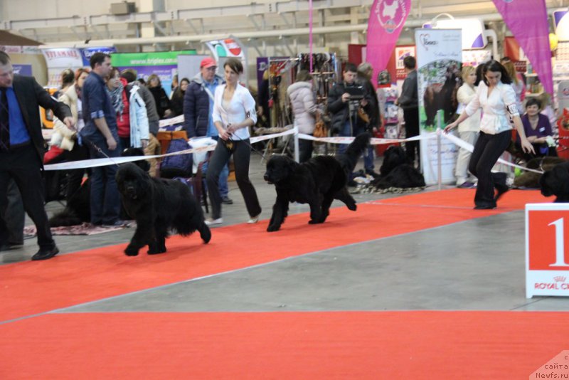 Фотография № 197257