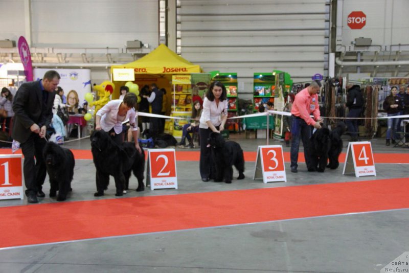 Фотография № 197260