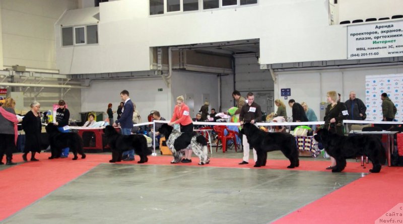 Фотография № 197262