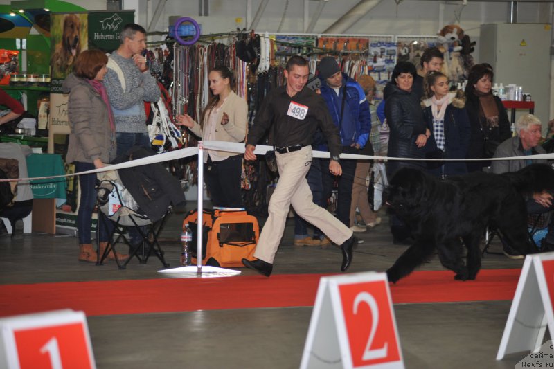 Фотография № 197263