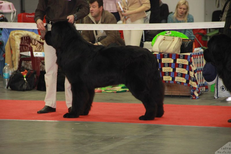 Фотография № 197264