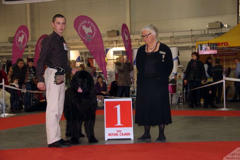 Фотография № 197266