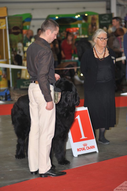 Фотография № 197267