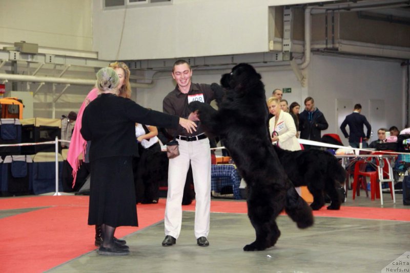 Фотография № 197268