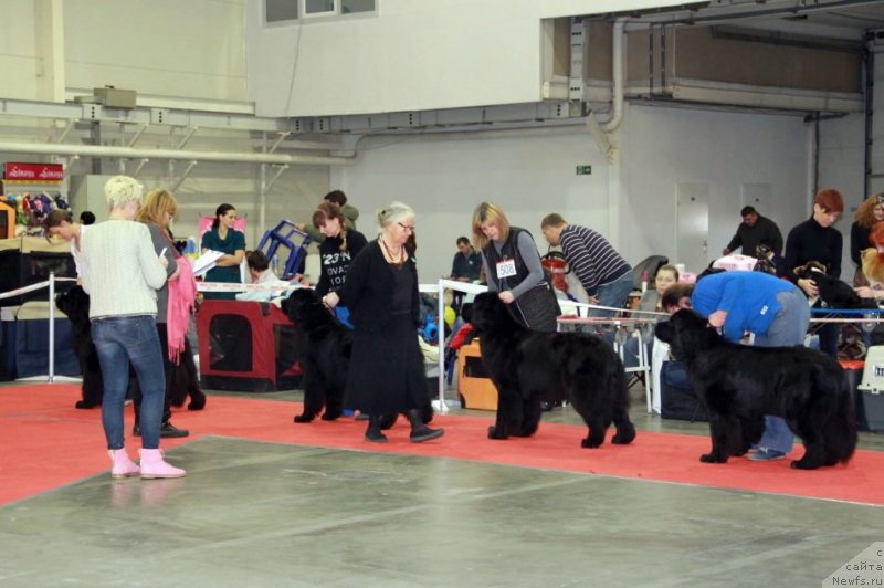 Фотография № 197269