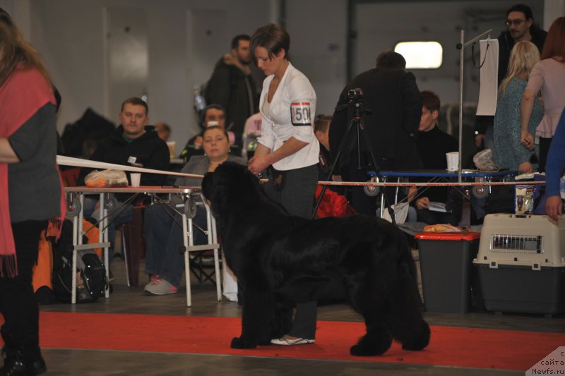 Фотография № 197270