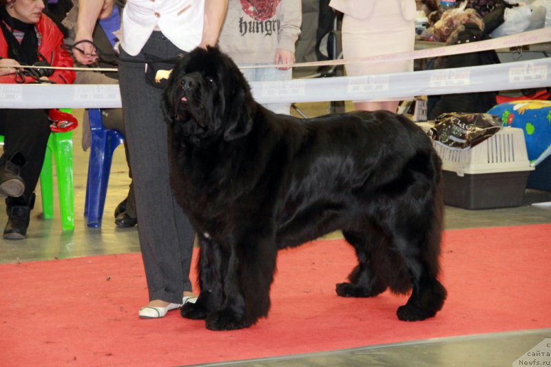 Фотография № 197271