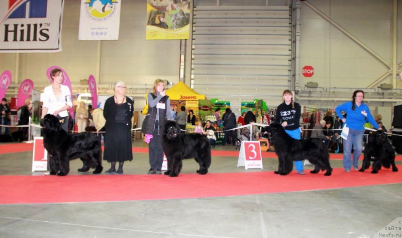 Фотография № 197272