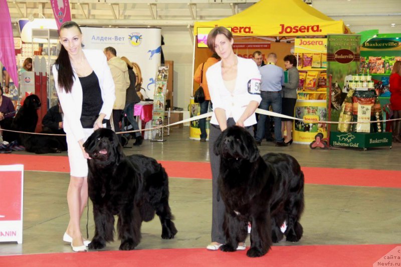 Фотография № 197273