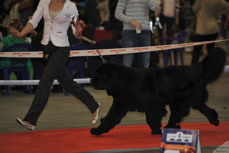 Фотография № 197274