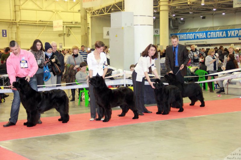 Фотография № 197275