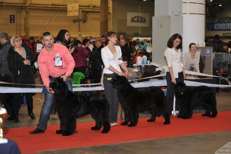 Фотография № 197276