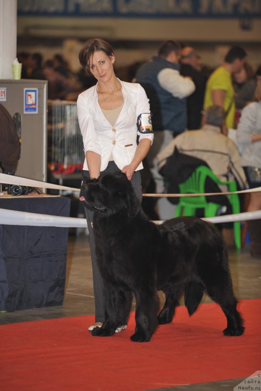 Фотография № 197277