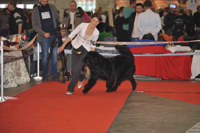 Фотография № 197278