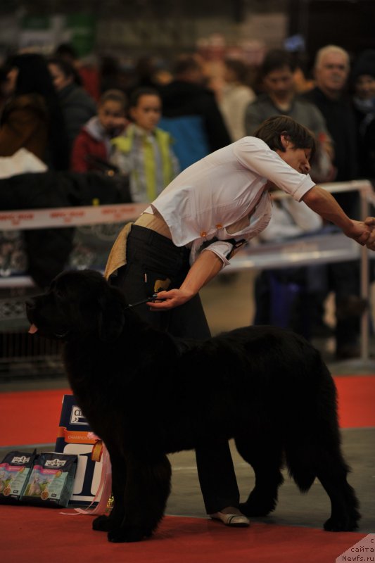 Фотография № 197280