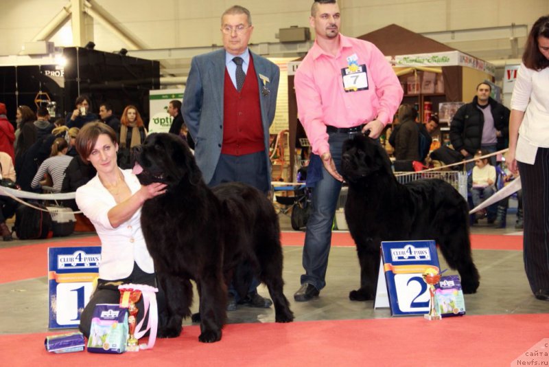 Фотография № 197281