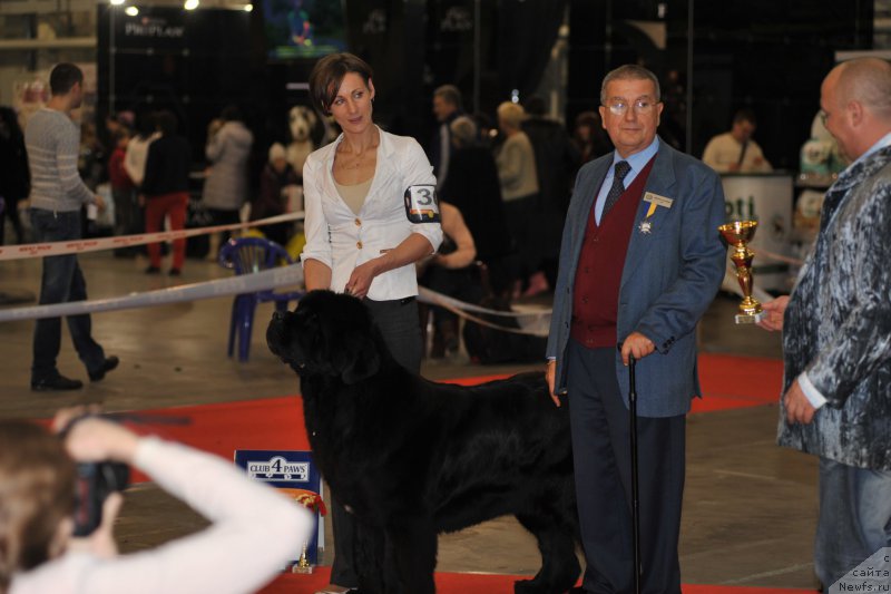 Фотография № 197282