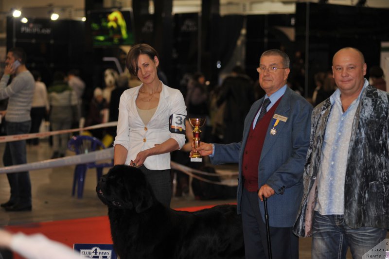 Фотография № 197283