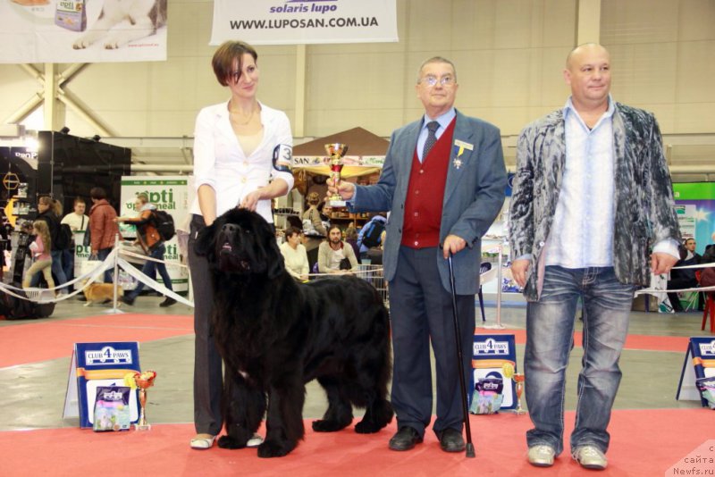 Фотография № 197284