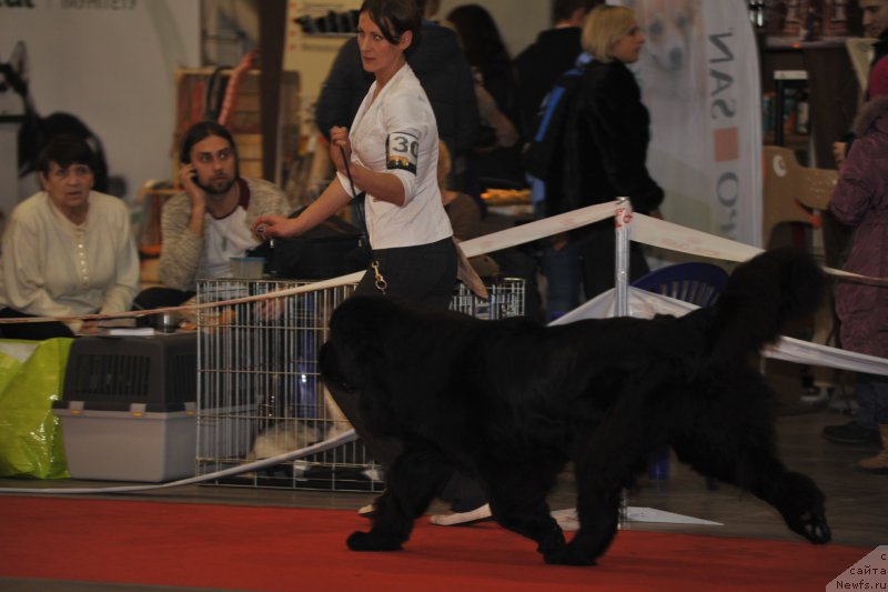 Фотография № 197285