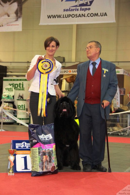 Фотография № 197288