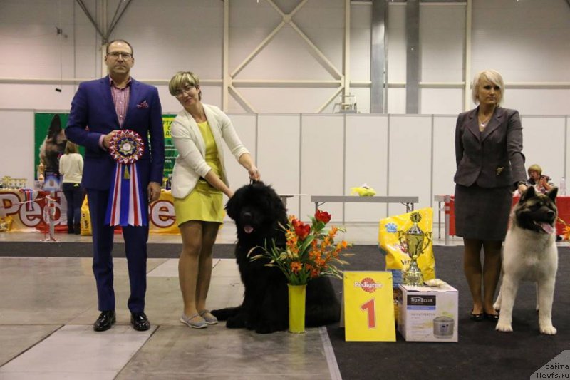 Фотография № 197303