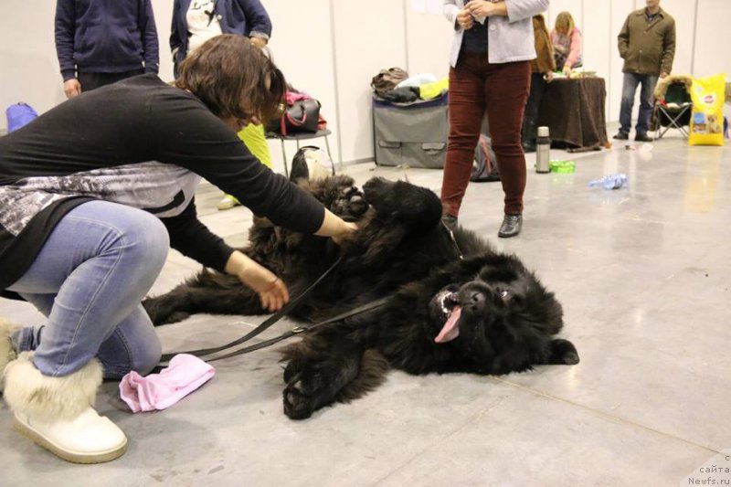 Фотография № 197304