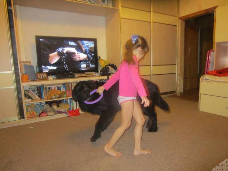 Фотография № 197310