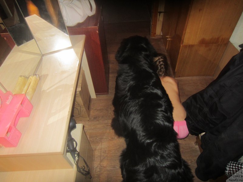 Фотография № 197312