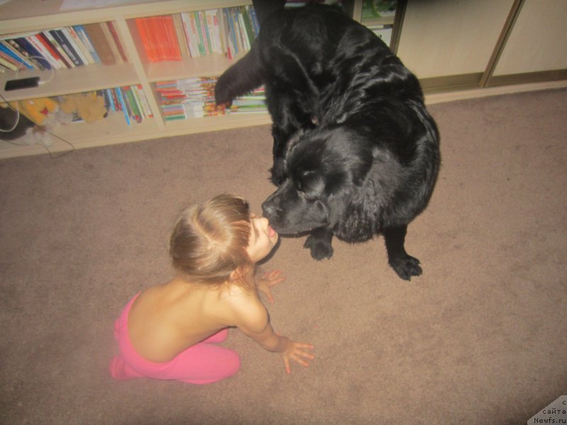 Фотография № 197313