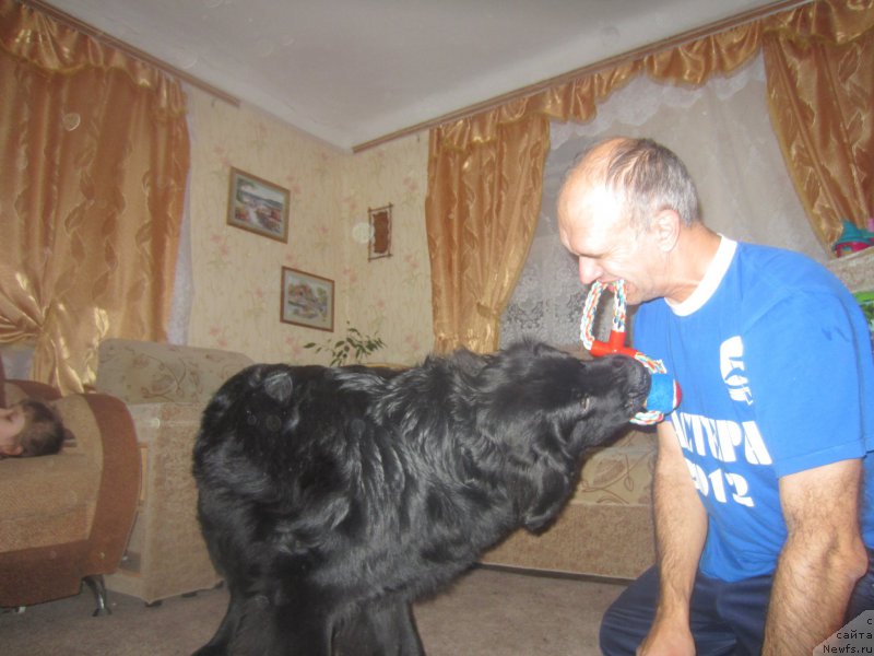 Фотография № 197315