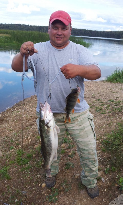 Фото: Андрей Дмитриев