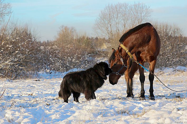 Фотография № 197320
