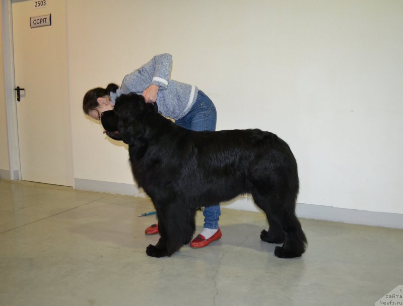 Фотография № 197326