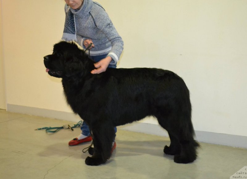 Фотография № 197328