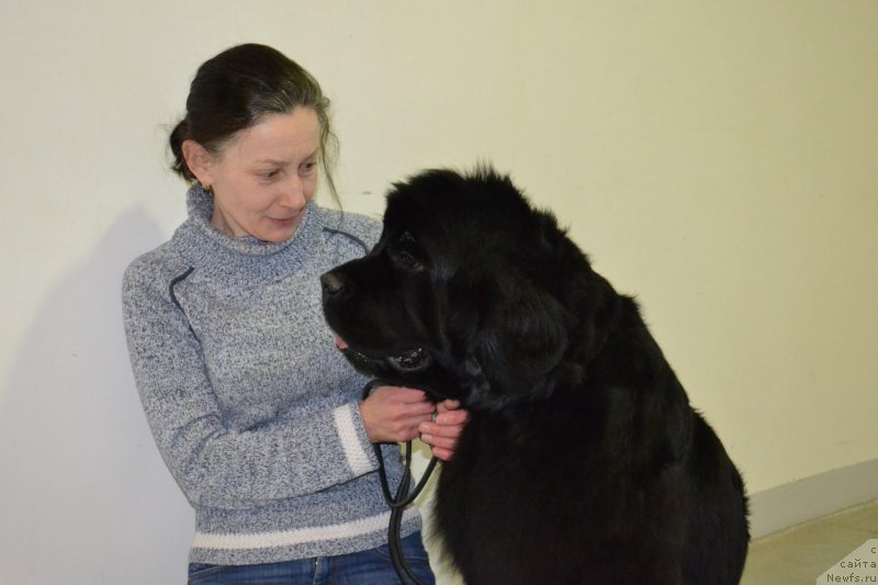 Фотография № 197329