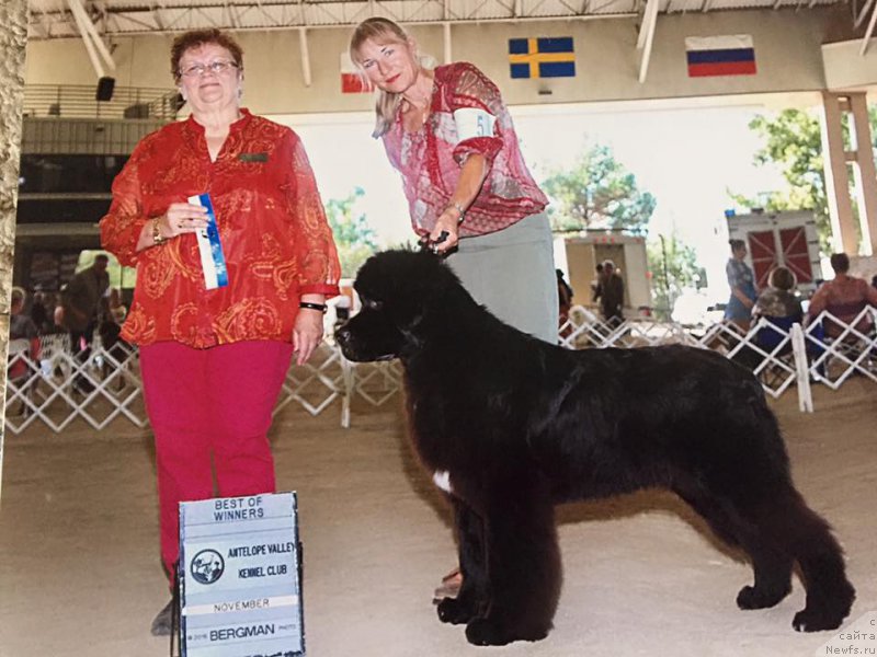 Фотография № 197330