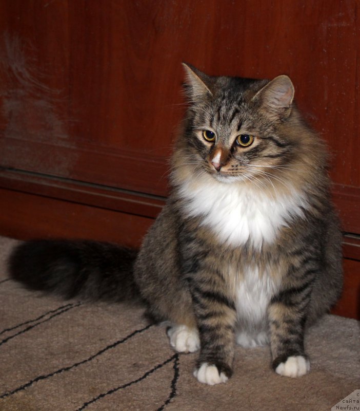 Фотография № 197366