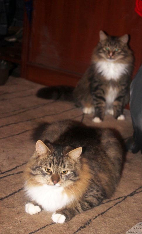 Фотография № 197367