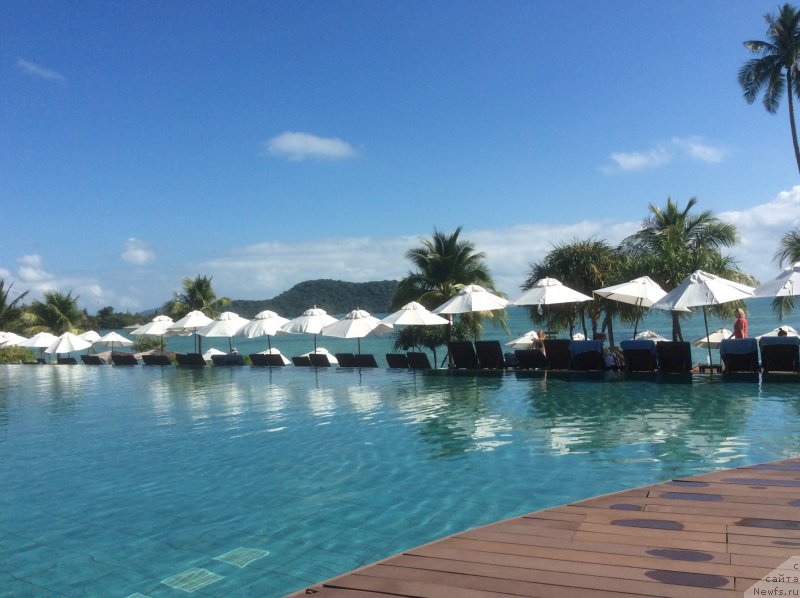 Фотография № 197376