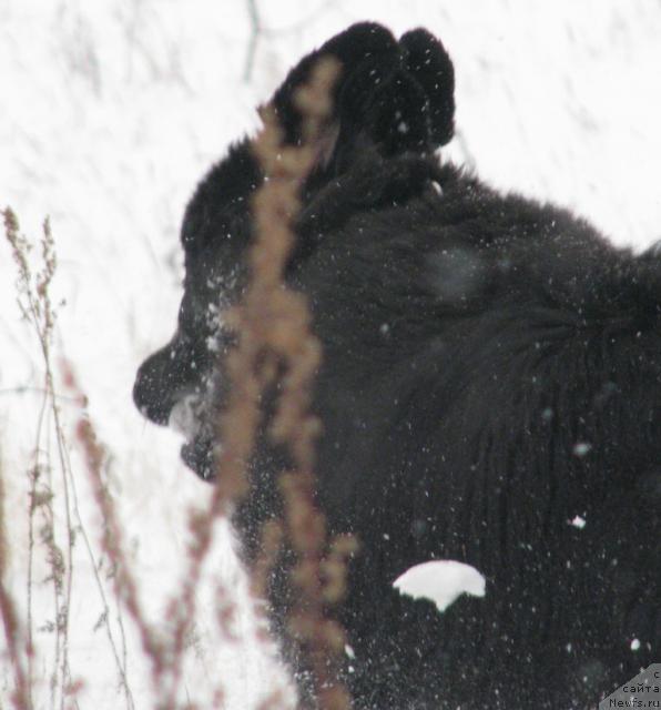 Фотография № 19738