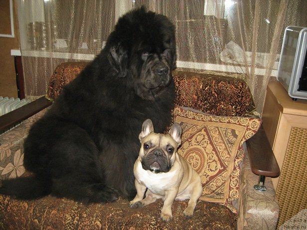 Фотография № 197413