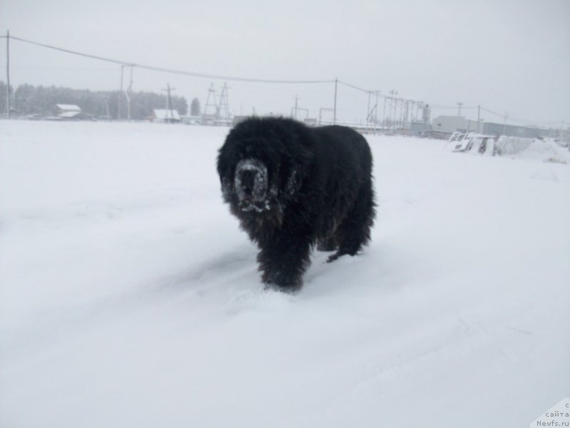 Фотография № 197417