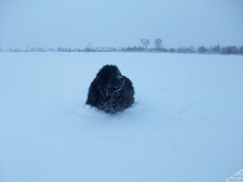 Фотография № 197419