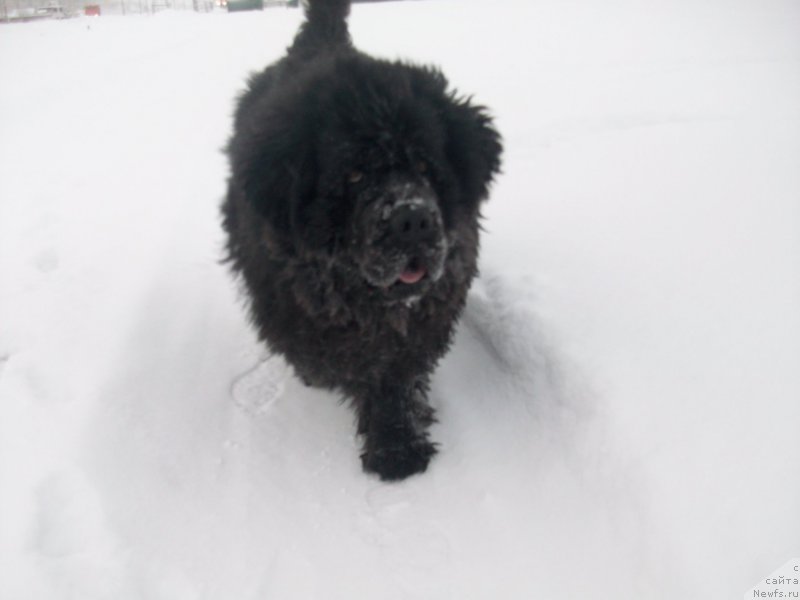 Фотография № 197420